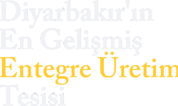 afsan-diyarbakir-44